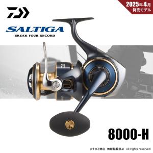 STELLA SW 25 ステラ (STELLA SW) 8000HG ※PEライン専用 047557