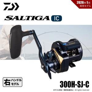 DAIWA（ダイワ） TD ジリオン HLC 100H 100HL : ウォーターハウス