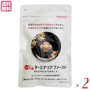 VitabridC ターミナリアファースト プロフェッショナル4 120粒 血糖値