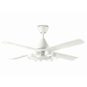 大光電機 安心のメーカー保証期間限定特価 【送料無料】大光電機 CCF