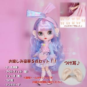 即納 アイシードール 2体 おたのしみBOX ネオサイズ 着せ替え人形 ICY