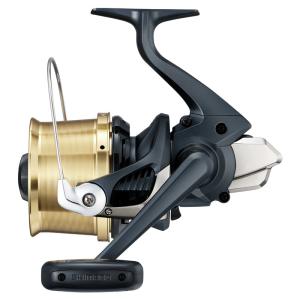DAIWA（ダイワ） 【目玉商品】ダイワ 20 レブロス LT2000S-XH (2020年