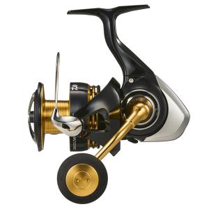 DAIWA（ダイワ） スピニングリール BG SW 10000-H 23年モデル : 釣具の