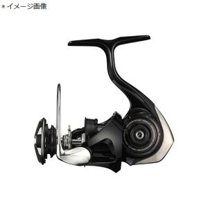 DAIWA（ダイワ） （送料無料）SLP ワークス DS LT 1000S-P-SLPW
