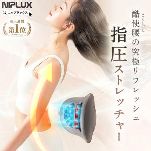 送料無料 森修焼 アーススタビライザー ガンマプラス 1個入り 自然健康