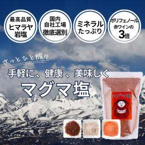 2026年2月】ヒマラヤマグマソルトのおすすめ人気ランキング - Yahoo