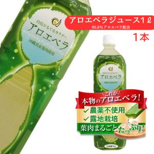 ジザニア シャンプー Y お徳用 1000ml マコモ発酵エキス配合 リバーヴ