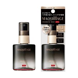 アルマダスタイル 電子トリートメント M301 1000ml ヘアケア 化粧水
