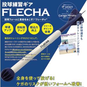 投球練習 FLECHA（フレーチャ）野球 硬式 軟式 ソフトボール