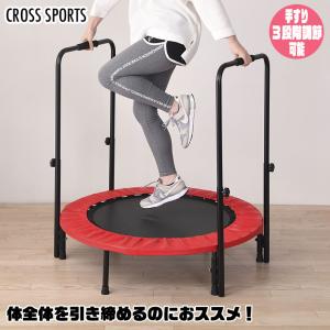 谷村実業 クロススポーツ ぶら下がり健康機 TAN-5037 ストレッチ