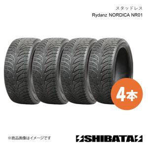 NANKANG（ナンカン） 4本セット 195/55R16 スタッドレスタイヤ AW-1