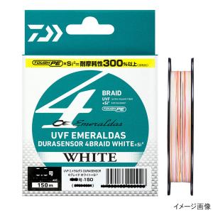 DAIWA（ダイワ） エギングロッド 25 エメラルダス X 86M・J : 釣具の