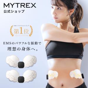 ヒロミプロデュース Vアップエクサ / EMS トレーニング 腹筋 筋肉