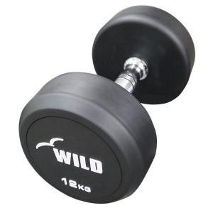 WILD FIT（ワイルドフィット） 固定式 ダンベル 24kg WF / 24キロ ジム