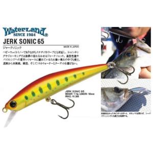 WaterLand（ウォーターランド） ジャークソニック 65 ヘビーウェイト