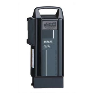 Panasonic（パナソニック） 電動自転車用バッテリー NKY452B02B (廃番