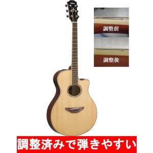 調整済 アリア FEB-FL LVS アコースティックベース エレアコベース