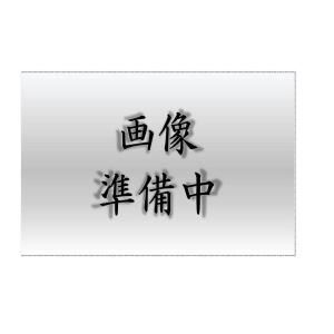Panasonic（パナソニック） NNFB91605C LED非常灯専用型低天Ф100
