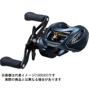 DAIWA（ダイワ） 21 ALPHAS(アルファス) SV TW 800XHL (左) : ヨコオ