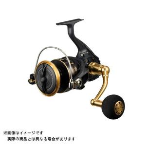 DAIWA（ダイワ） 22カルディア SW 4000D-CXH（CALDIA） : フィッシング
