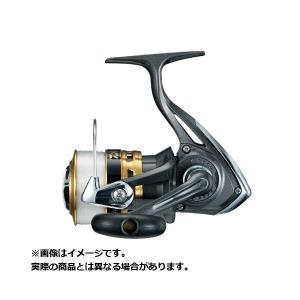 DAIWA（ダイワ） レブロス 2004H-DH （浅溝ハイギア ダブル