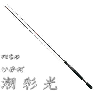 DAIWA（ダイワ） エギングロッド 20 エメラルダス AIR AGS 90M / daiwa