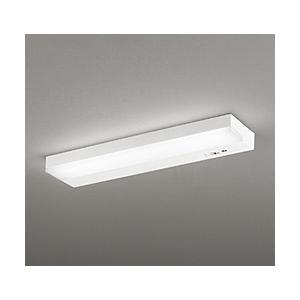 Panasonic（パナソニック） キッチン LED流し元灯 コンパクトタイプ 昼