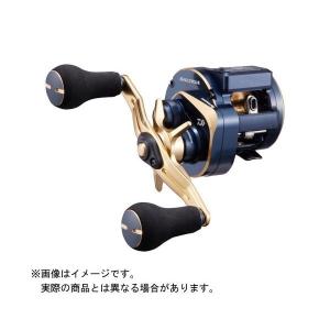 DAIWA（ダイワ） ソルティガIC 100HL-DH : つり具の銭屋 - 通販