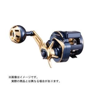 DAIWA（釣り） 23 ソルティガIC 100H-DH 釣り ベイトリール - 最安値