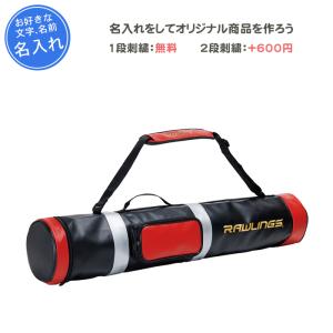 MIZUNO（ミズノ） 名入れ1段付き 野球 バットケース 2本 刺繍 バット