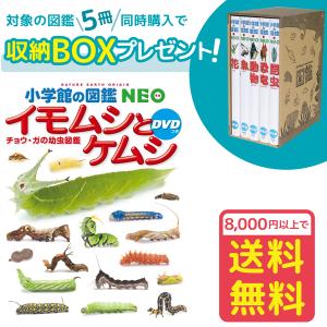 小学館の図鑑NEO［新版］両生類・はちゅう類 DVDつき（収納BOX付・送料