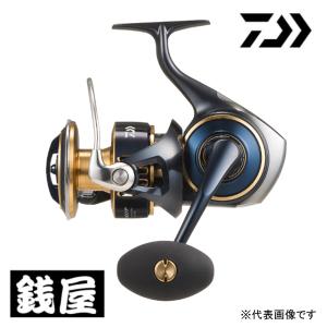 シマノ（SHIMANO） 20 ステラ SW 30000 / スピニングリール : つり具の