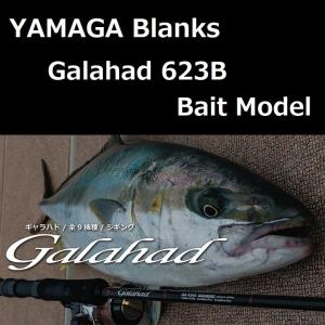 YAMAGA Blanks ヤマガブランクス ギャラハド TRAVEX 594S Spinning