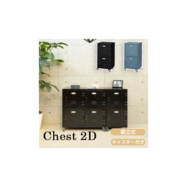 チェスト2D TPN-30BK TPN-30GR 2段 収納 東谷 AZUMAYA キャビネット