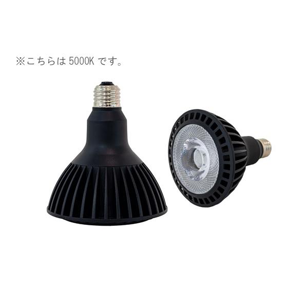 京セラ CERAPHIC いきもの電球 5000K(昼白色) : アクアテイラーズ