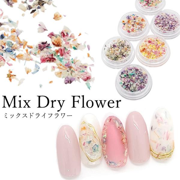 ミックス ドライ フラワー 1個【6色】 花 お花 花びら ケース入り