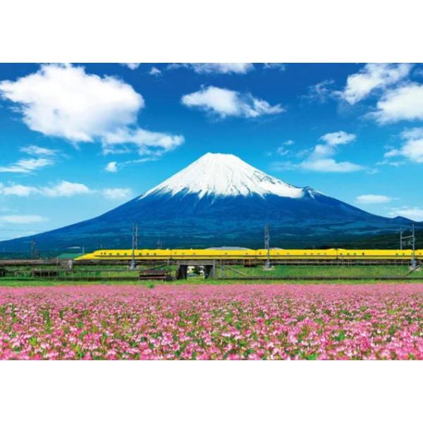 asada_4977389064014