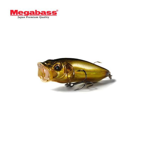 backlash_y-4513473306013