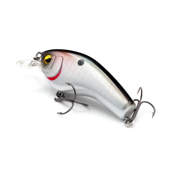 backlash_y-4573607300201