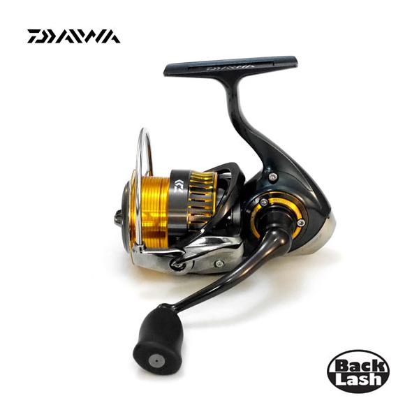 backlash_y-4960652024112