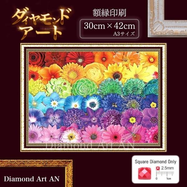 diamondart-an_am-46