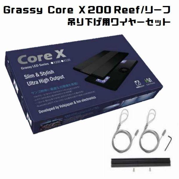 ボルクス グラッシーコア X200 リーフ（SPSサンゴモデル）吊り下げ