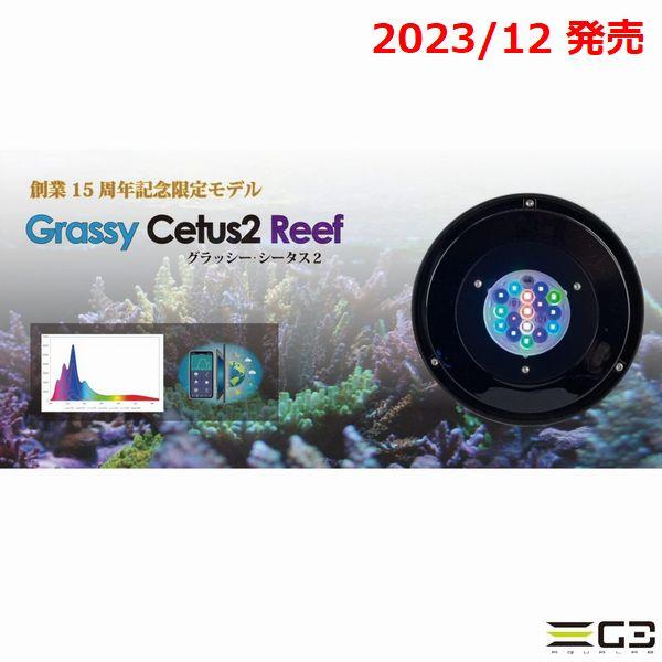 volxjapan（ボルクスジャパン） 送料無料 Grassy Cetus2 Reef