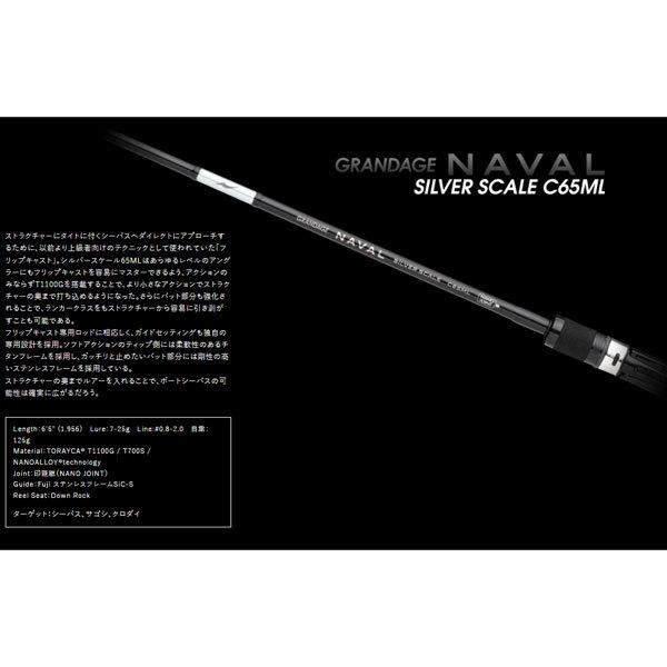 アピア（APIA）GRANDAGE NAVAL SILVER SCALE C65ML 大型便A 爆買