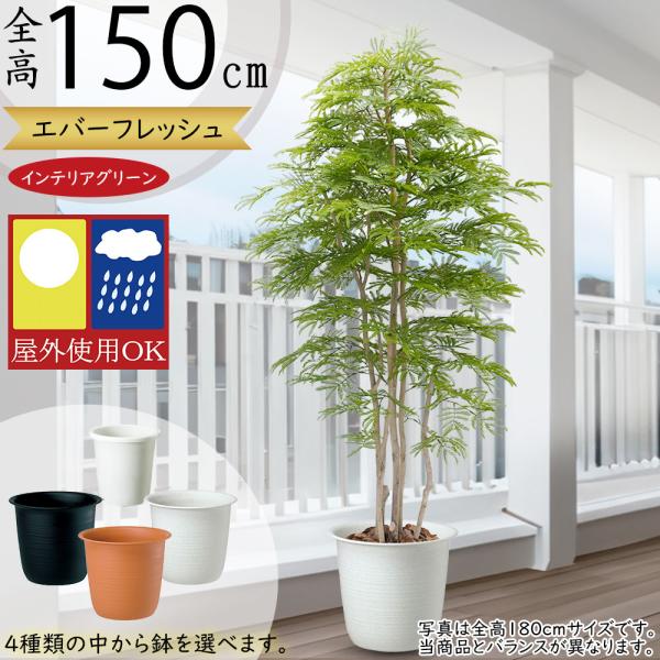 keishin_b24g-bst0073-150