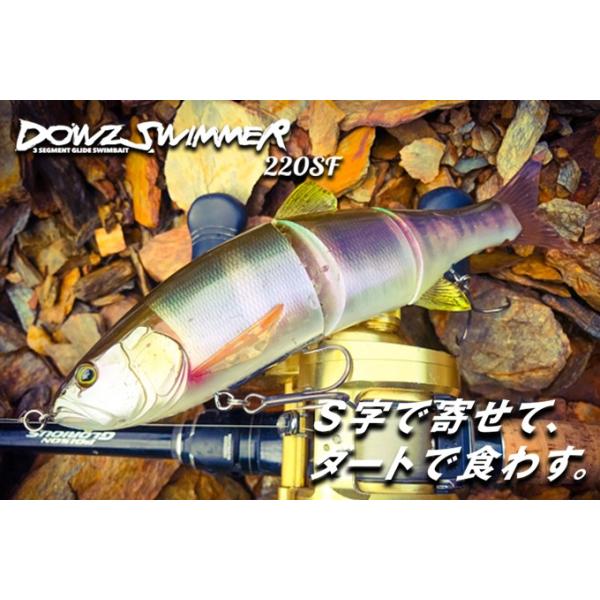 kt-gigaweb_198-dowz-swimmer220sf