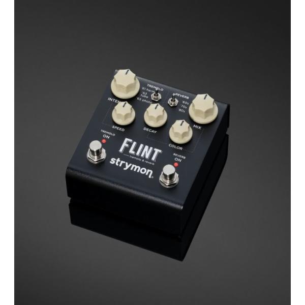 strymon FLINT V2 ［ストライモン/フリント］ : 昭和32年創業の老舗