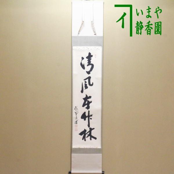 茶道具 掛軸 掛け軸 一行 清風在竹林 前田昌道筆 茶道 : 茶道具いまや