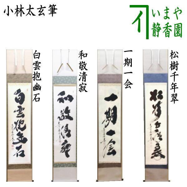 美品 掛け軸 瑞龍山雲澤禅寺 足立泰道作「薫風自南来」共箱 禅語