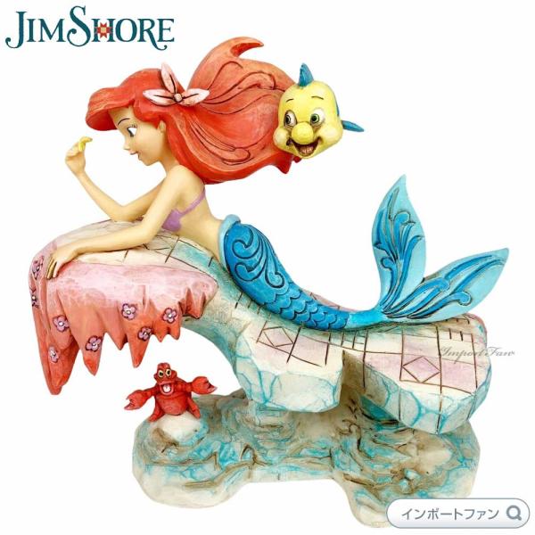 importfan_jim4037501